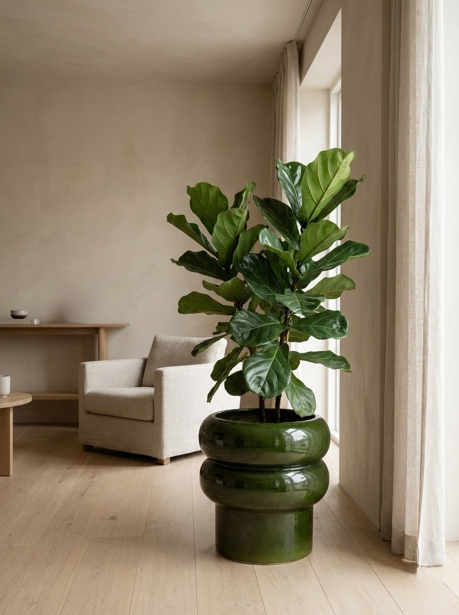Ripple XXL Large Pot Planter - 40x40cm